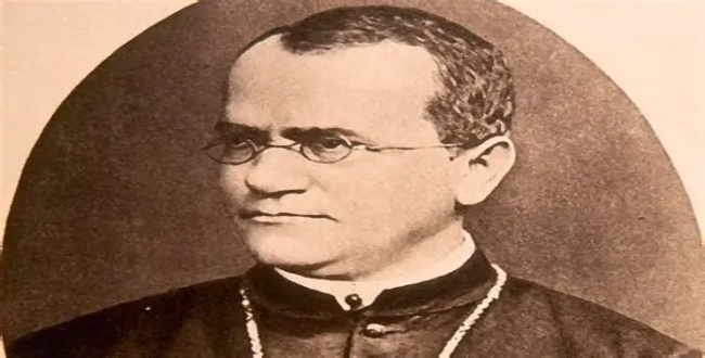 Seithipunal