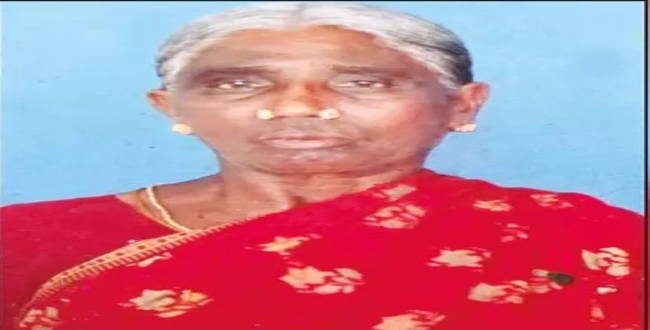 Seithipunal
