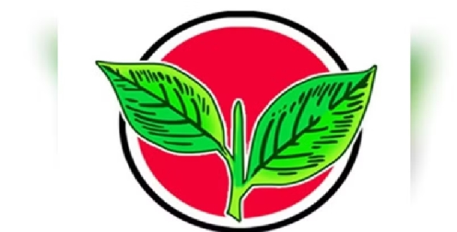 Seithipunal
