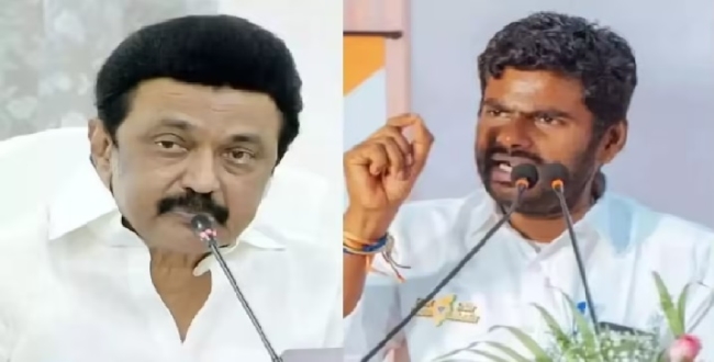 Seithipunal