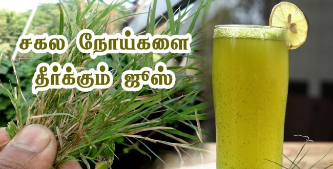 Arugampul juice clearance benefits in tamil