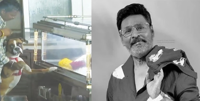 Seithipunal