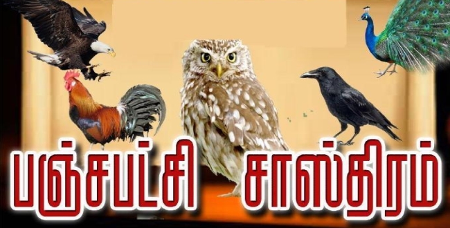 Seithipunal