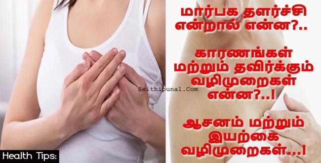 Seithipunal