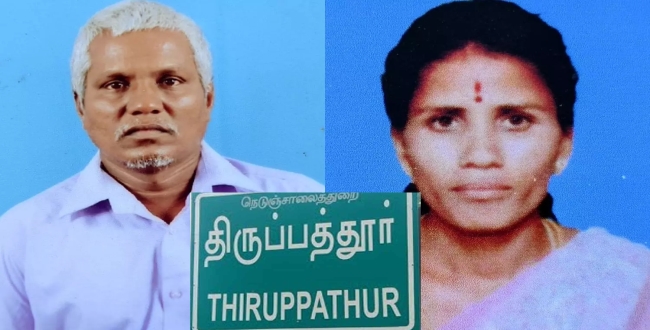 Seithipunal