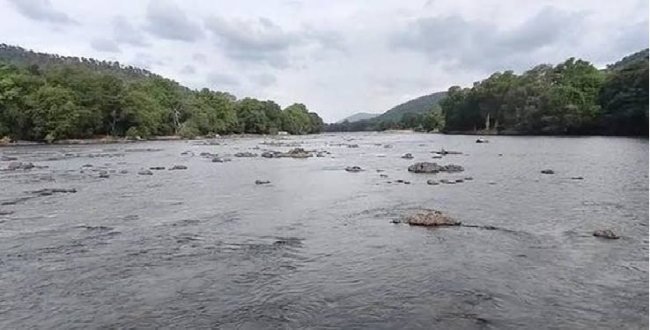 Seithipunal