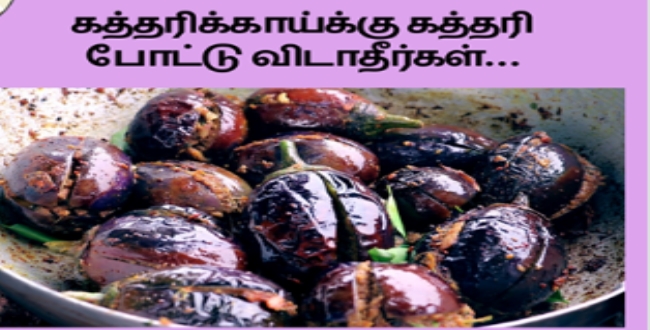 Seithipunal