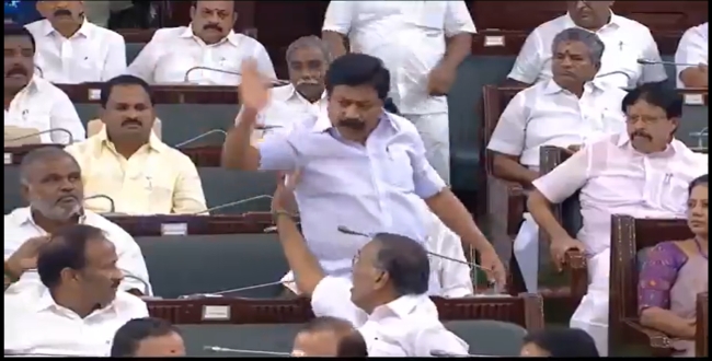 Seithipunal