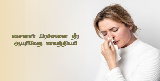 Seithipunal
