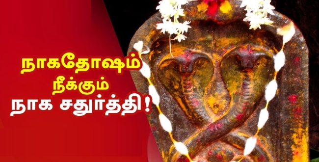 Seithipunal