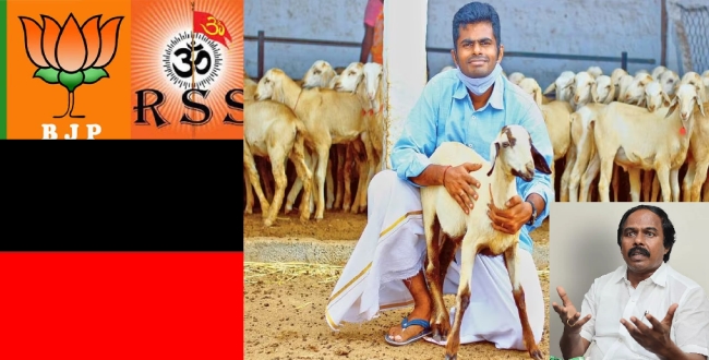 Seithipunal