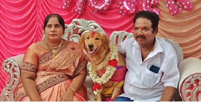 Seithipunal