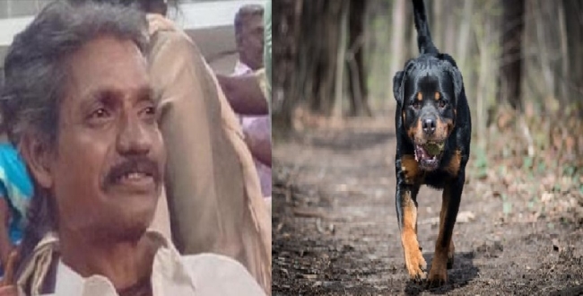 Seithipunal