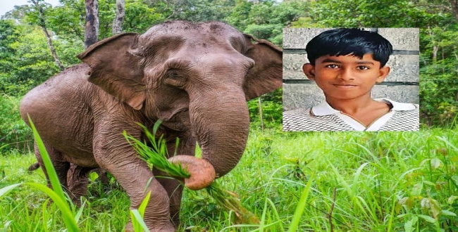 Seithipunal
