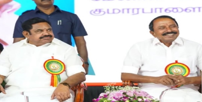 Seithipunal