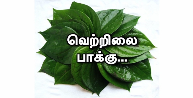 Seithipunal