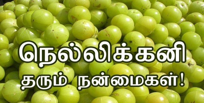 Seithipunal