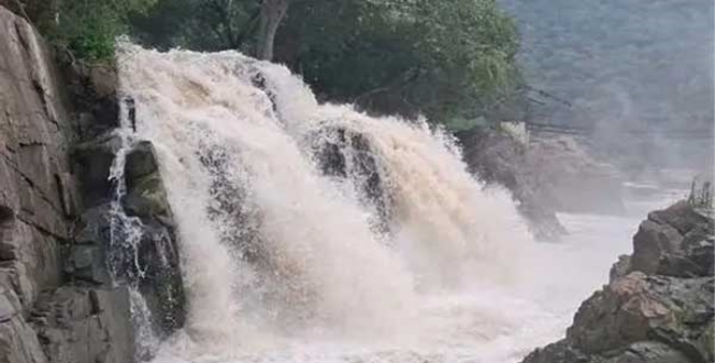 Seithipunal