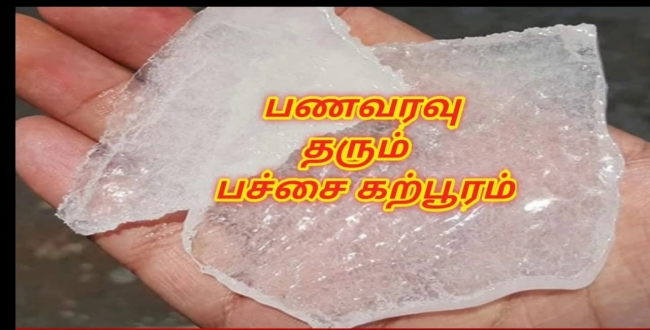 Seithipunal