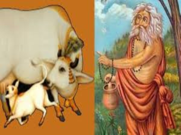 Seithipunal