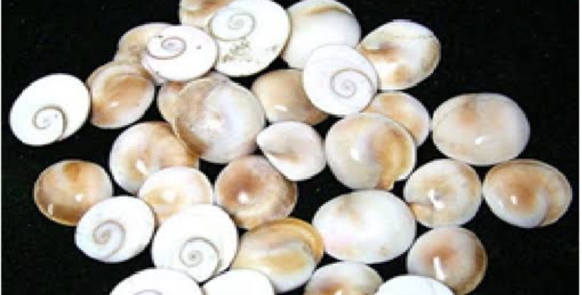 Seithipunal