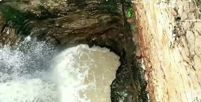 Seithipunal
