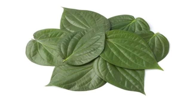 Seithipunal