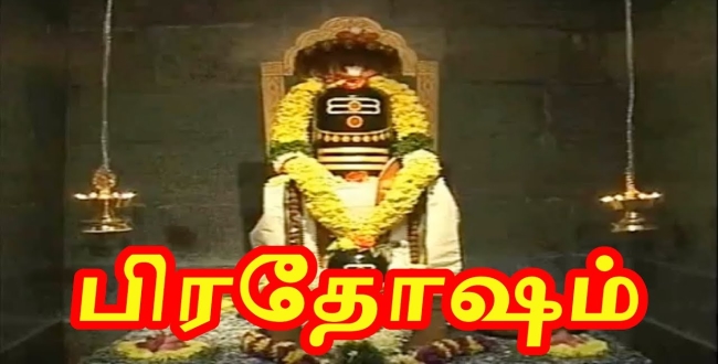 Seithipunal