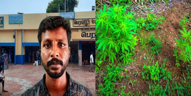 Seithipunal