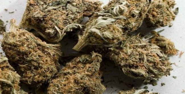 
	திருப்பூர் பள்ளியில் அதிர்ச்சி! மாணவர் பையில் கால் கிலோ கஞ்சா…! காவலர்களுக்கு பதில் ஆசிரியர் தீ வாய்ப்பு...! - Seithipunal
