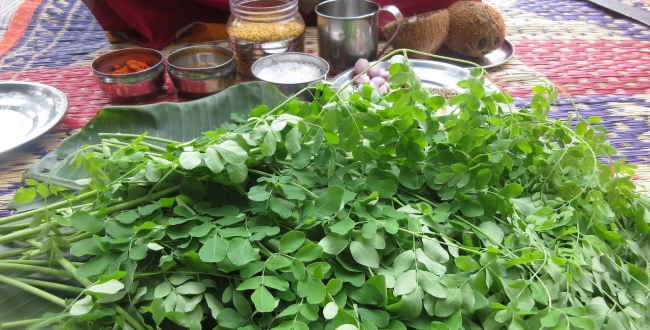 Seithipunal