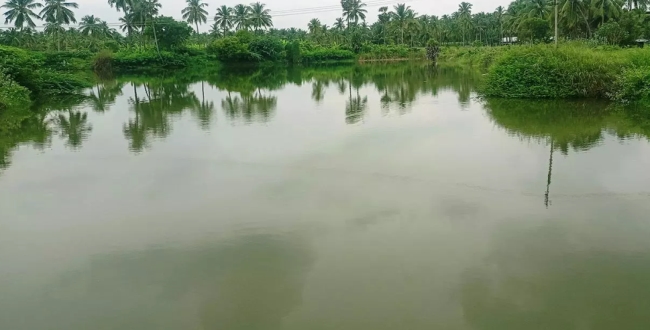 Seithipunal