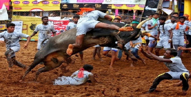 Seithipunal