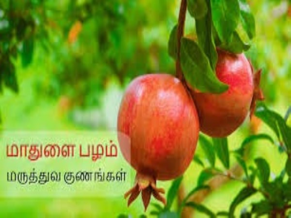 Seithipunal