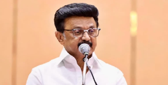Seithipunal