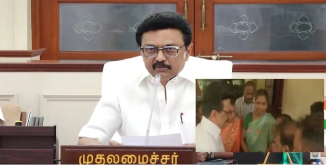 Seithipunal