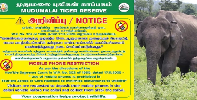 Seithipunal