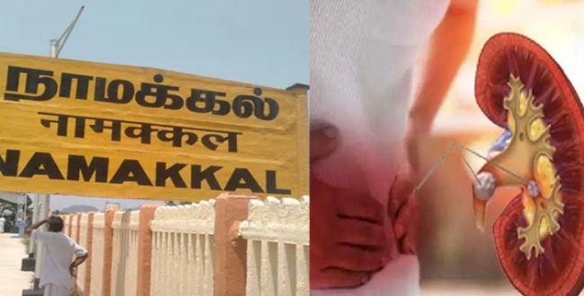 Seithipunal