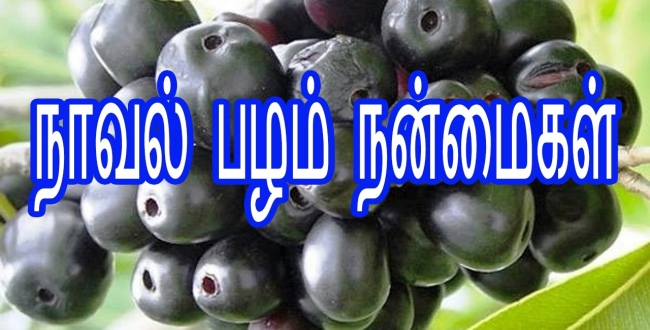 Seithipunal