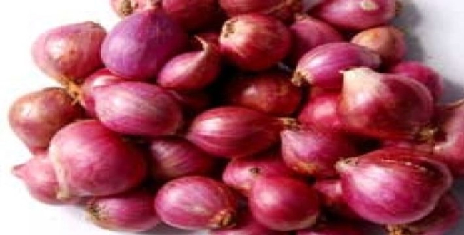 Image result for onion seithipunal