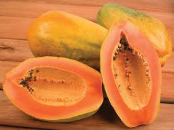 Image result for papaya seithipunal