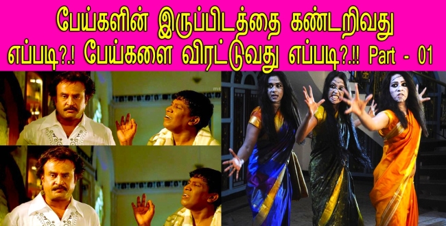 Seithipunal