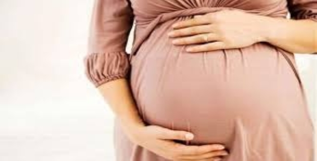 Image result for pregnant seithipunal