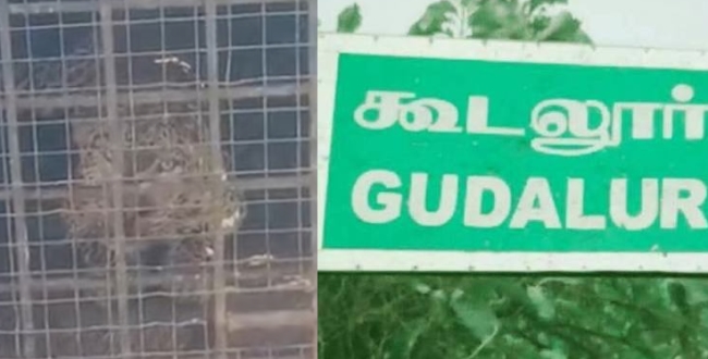Seithipunal