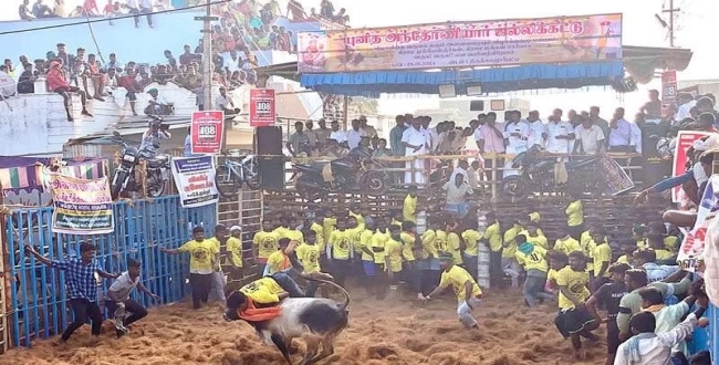 
	தஞ்சாவூர் | திருக்கானூர்பட்டியில் தொடங்கிய ஜல்லிக்கட்டு போட்டி! - Seithipunal
