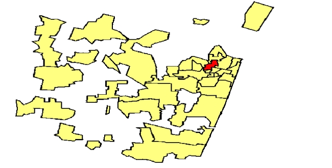 Seithipunal