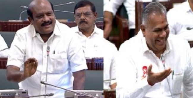 Seithipunal