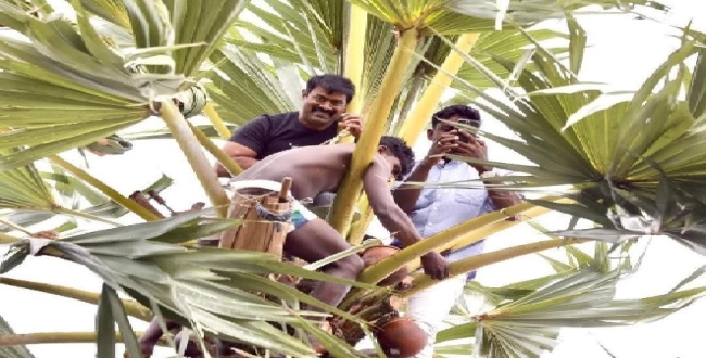 Seithipunal