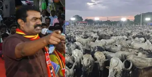 Seithipunal
