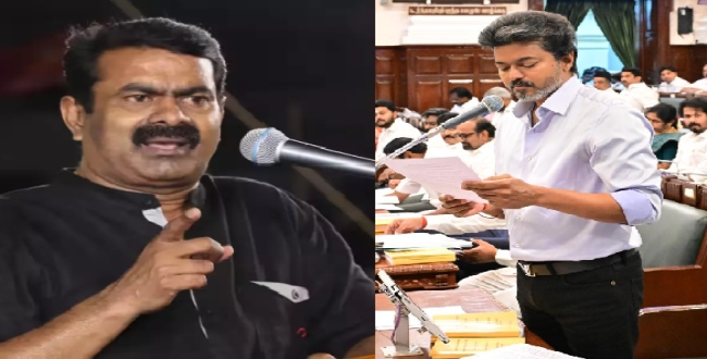 Seithipunal